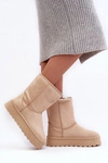 Damskie Śniegowce Ocieplone Futerkiem Beżowe Abrams